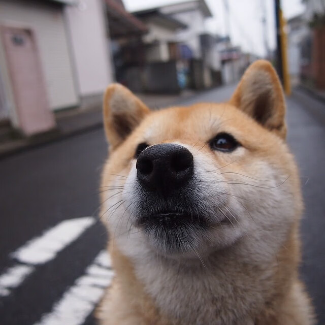 传奇教练的战术思想“秘籍”大公开，nba_传奇教练
