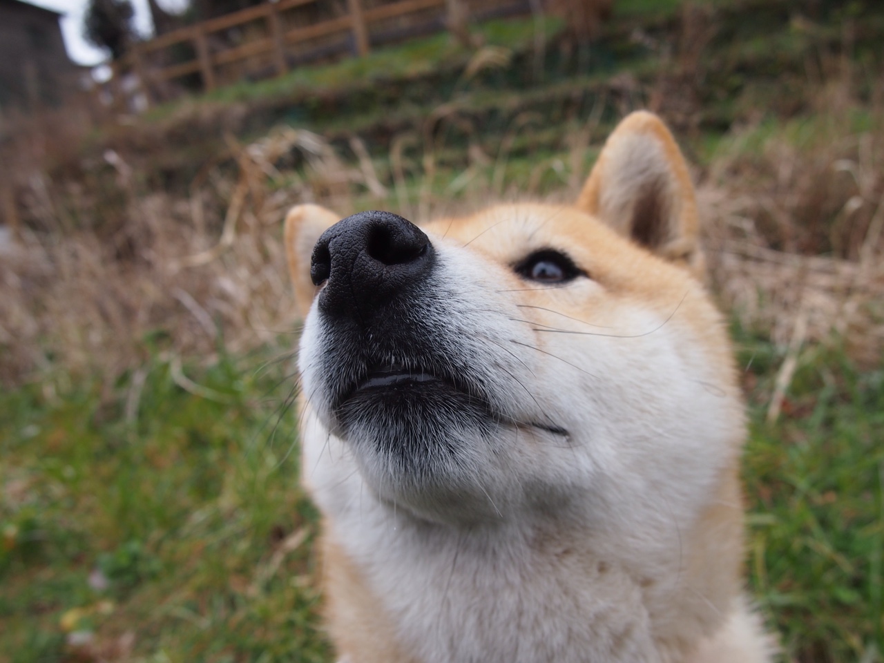 开云体育APP下载-_未来体育大数据：智能分析助力突破_，体育大数据概念