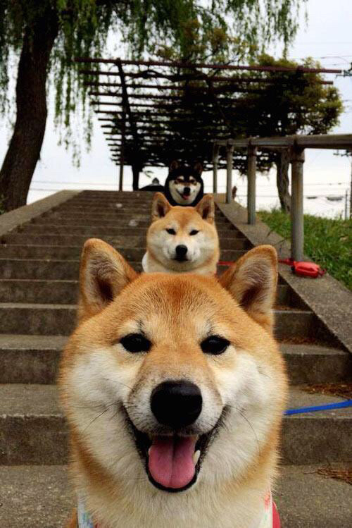 开云体育-【策略大赛】马克·塞尔比：防守中的细节决定成败，马克塞尔比多少个冠军