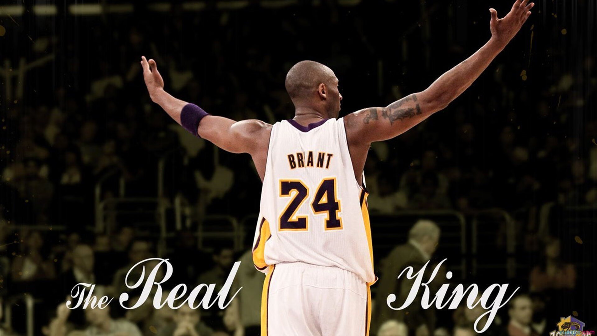 kaiyun-“霍斯特的稳定发挥让南非羚羊队防守如铁壁”